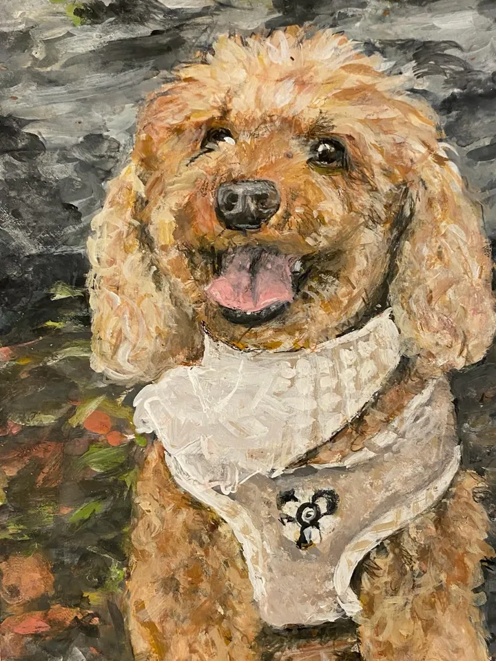 Beispielbild: Hund Karli