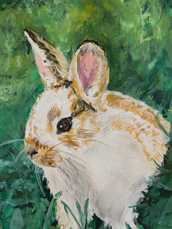 Beispielbild: Kaninchen