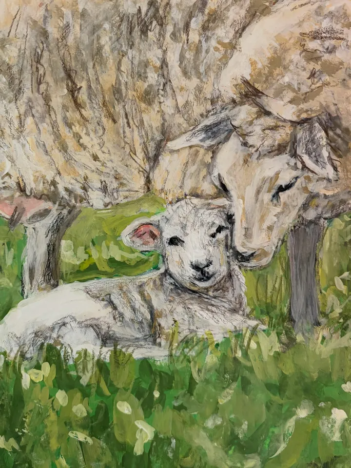 Beispielbild: Schaf mit Lamm